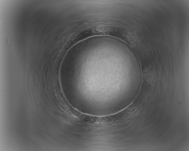 X0000062791009200512290217