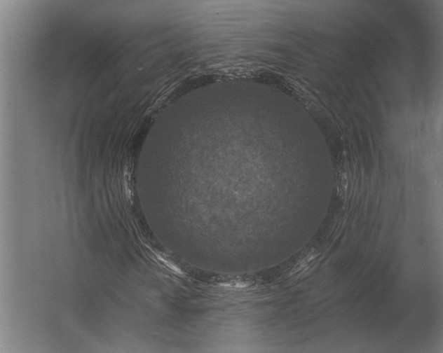 X0000062791010200512290217