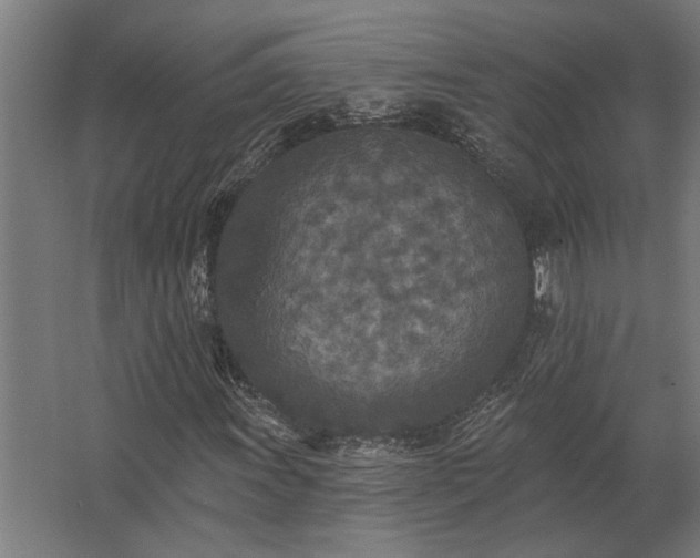 X0000062791011200512290217