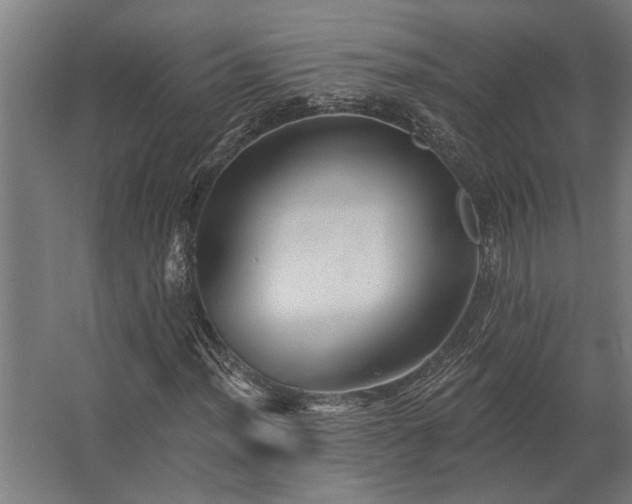 X0000062791012200512290217