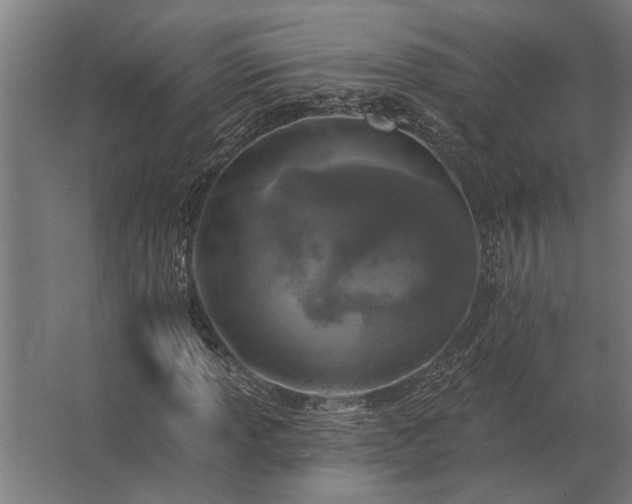 X0000062791013200512290217