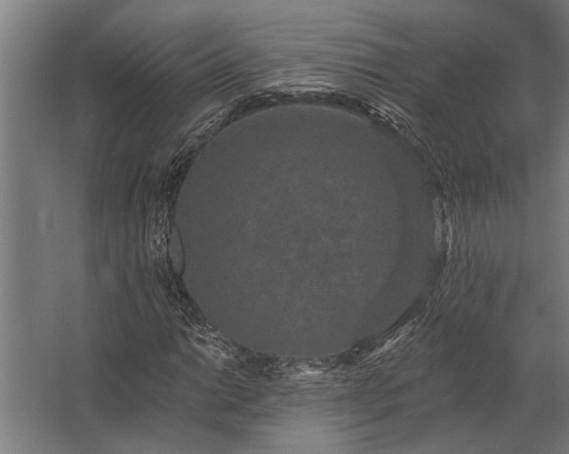 X0000062791014200512290217