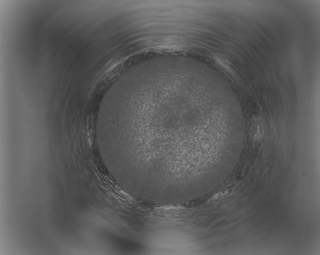 X0000062791015200512290217