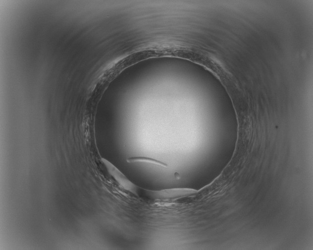 X0000062791016200512290217