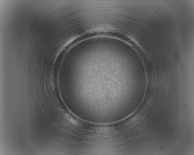 X0000062791018200512290217