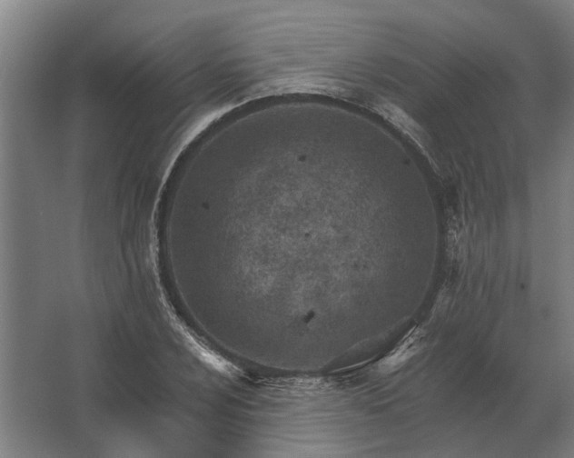 X0000062791024200512290217