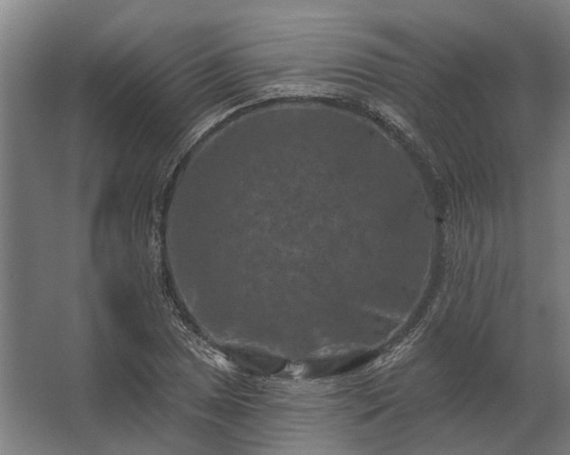 X0000062791025200512290217