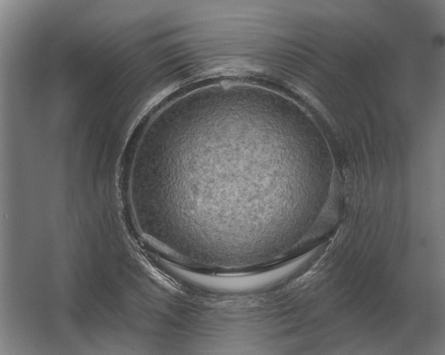 X0000062791026200512290217