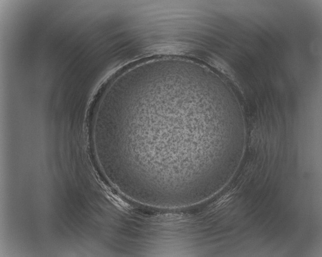 X0000062791027200512290217