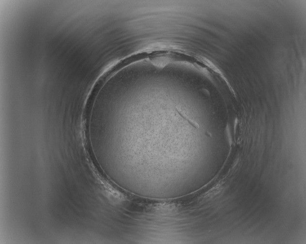 X0000062791029200512290217