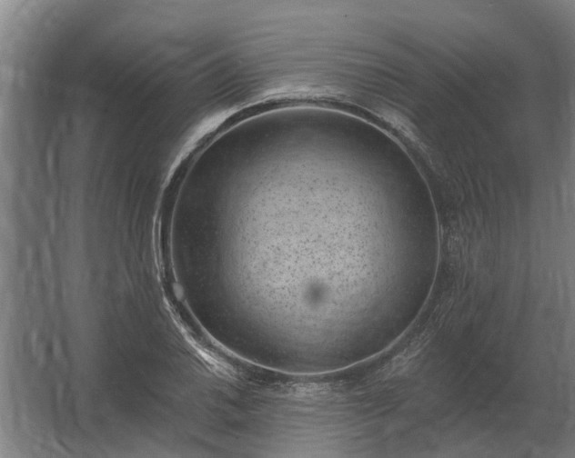 X0000062791030200512290217