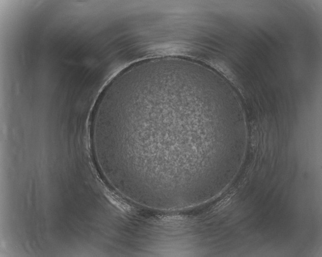 X0000062791031200512290217