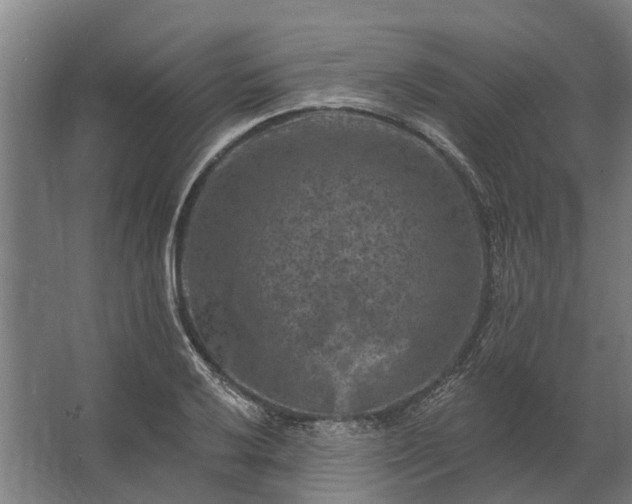 X0000062791032200512290217