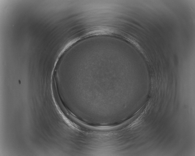 X0000062791034200512290217