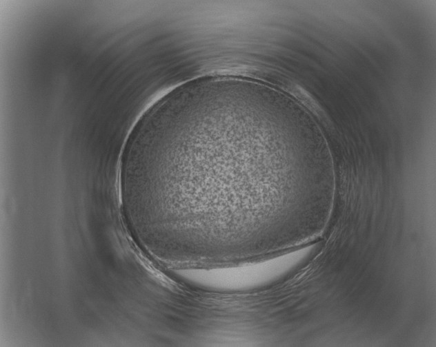 X0000062791036200512290217