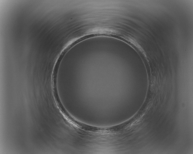 X0000062791037200512290217