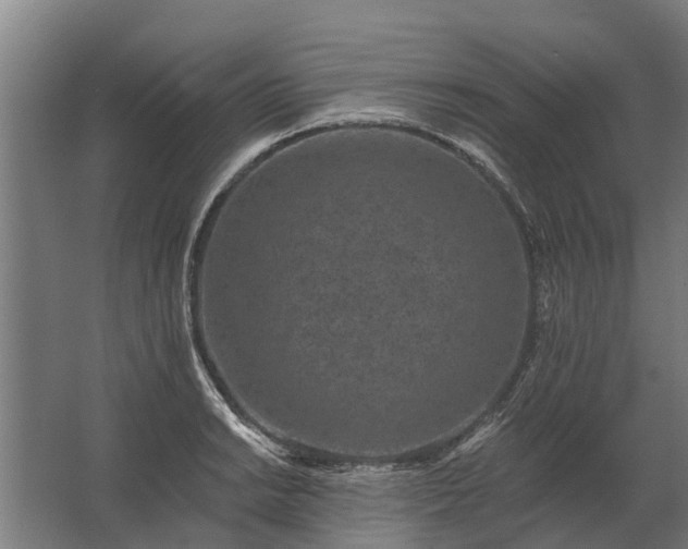 X0000062791038200512290217