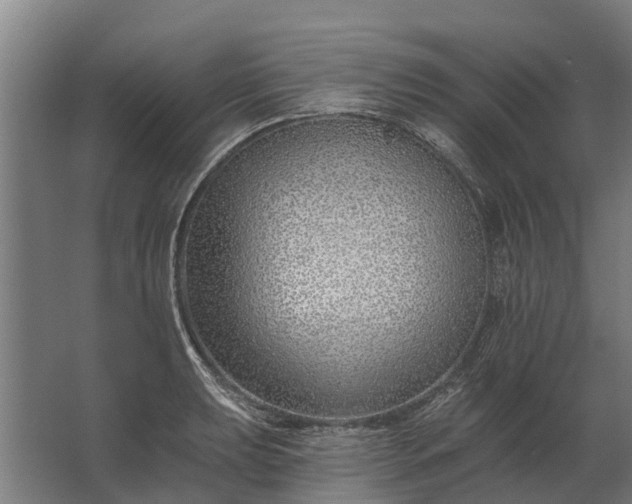 X0000062791039200512290217