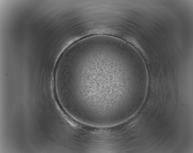 X0000062791040200512290217