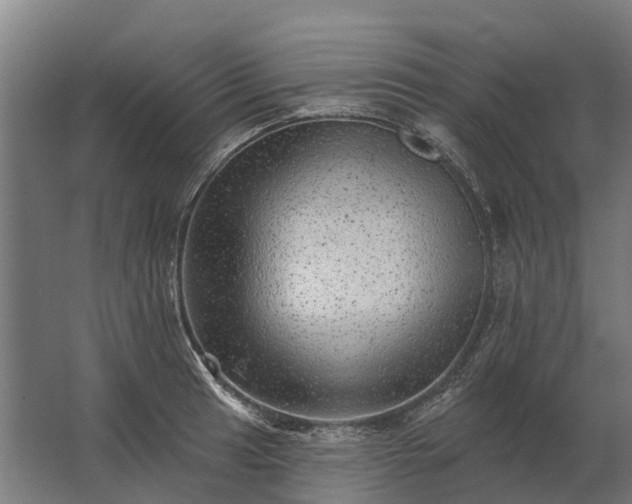 X0000062791041200512290217