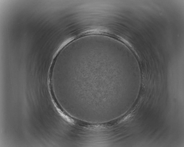 X0000062791042200512290217