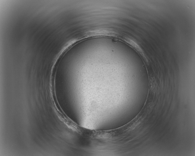 X0000062791043200512290217