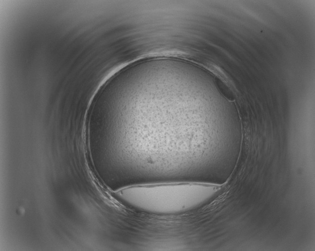 X0000062791044200512290217