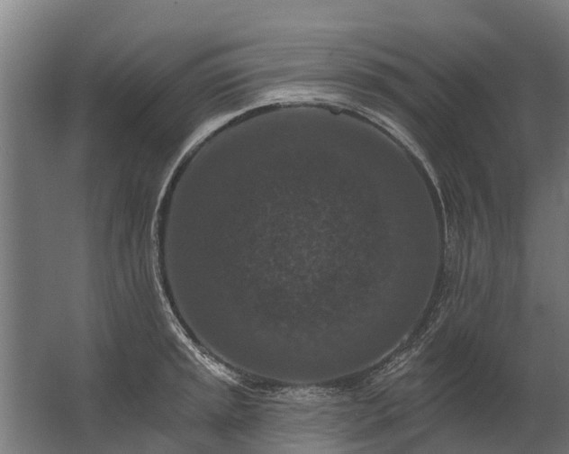 X0000062791045200512290217