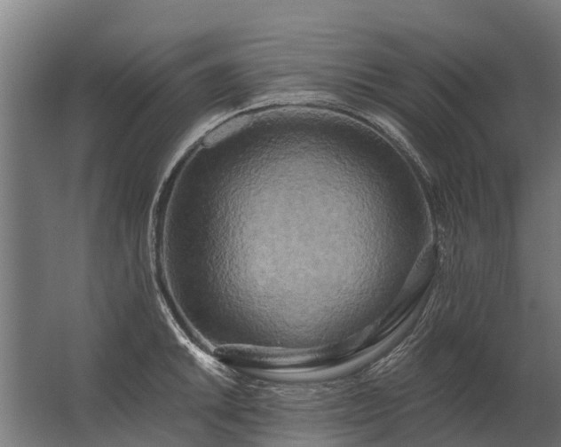 X0000062791046200512290217