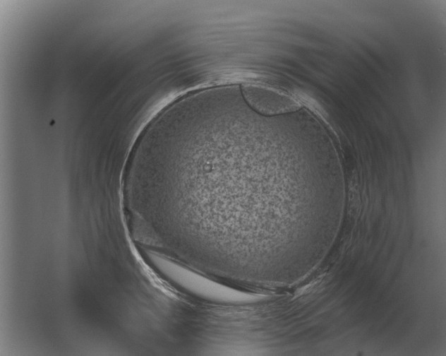 X0000062791047200512290217