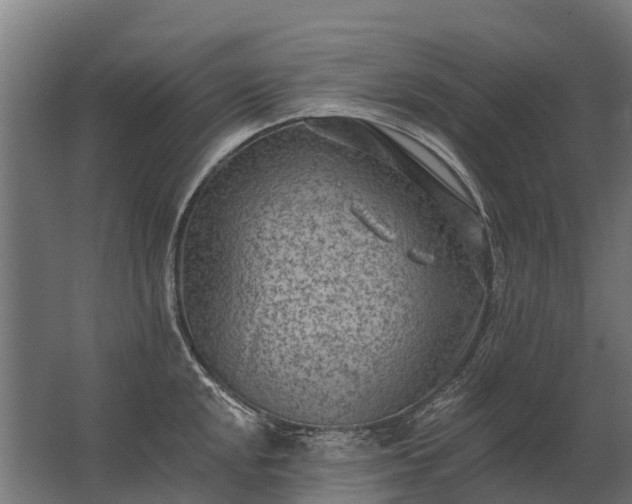 X0000062791048200512290217