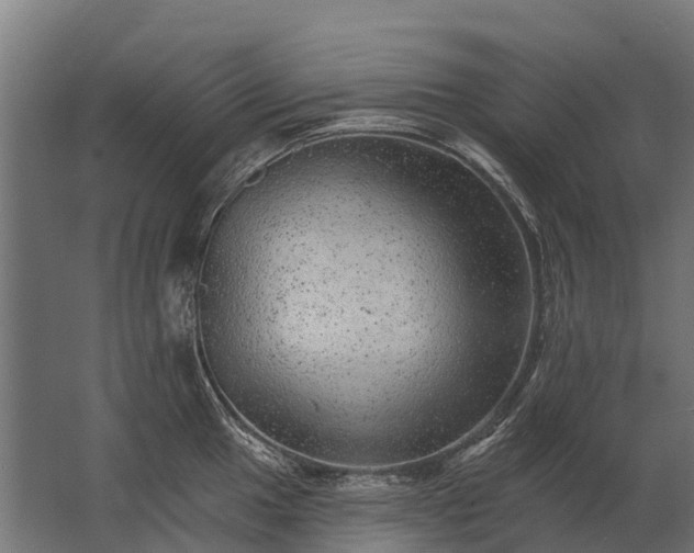 X0000062791049200512290217