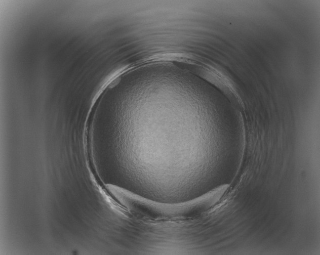 X0000062791050200512290217