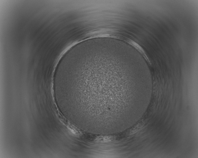 X0000062791051200512290217