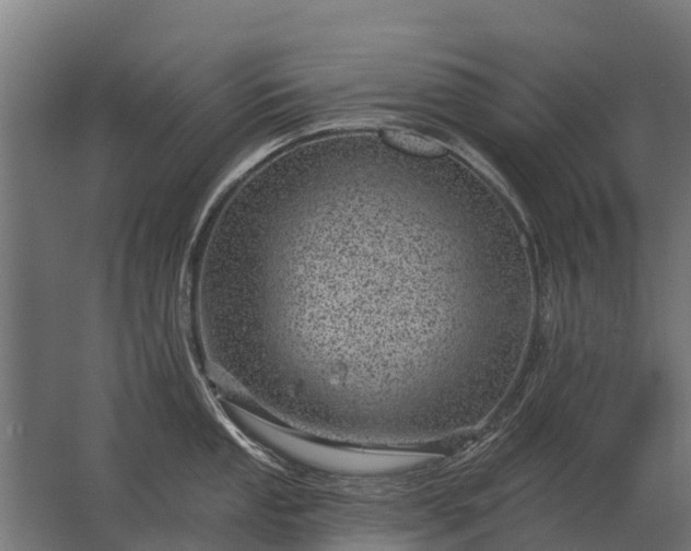 X0000062791053200512290217