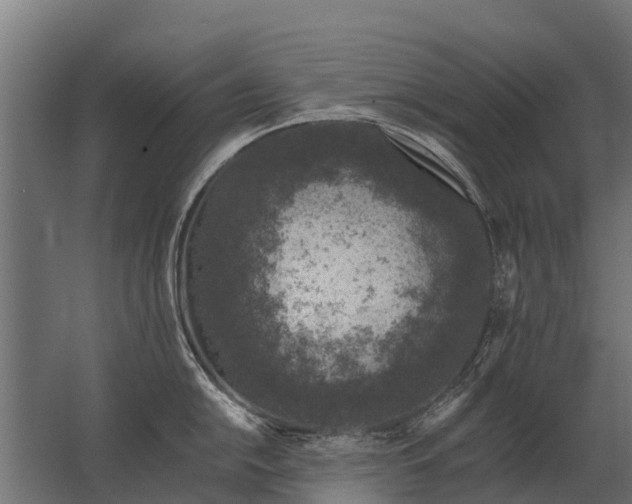 X0000062791054200512290218