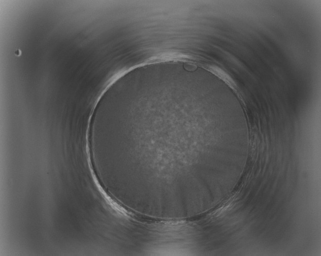 X0000062791055200512290218