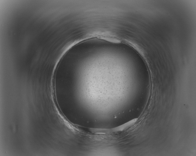 X0000062791056200512290218