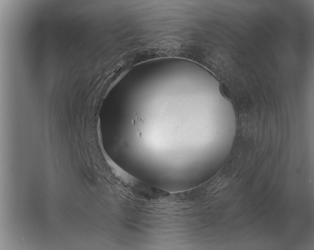 X0000062791057200512290217