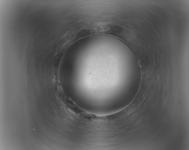 X0000062791058200512290217