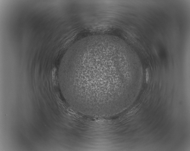 X0000062791059200512290217