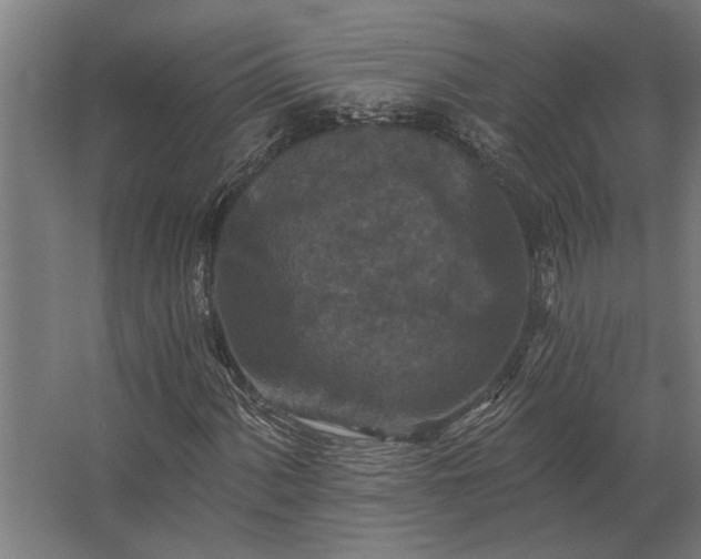 X0000062791060200512290217