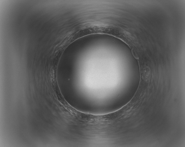 X0000062791061200512290217