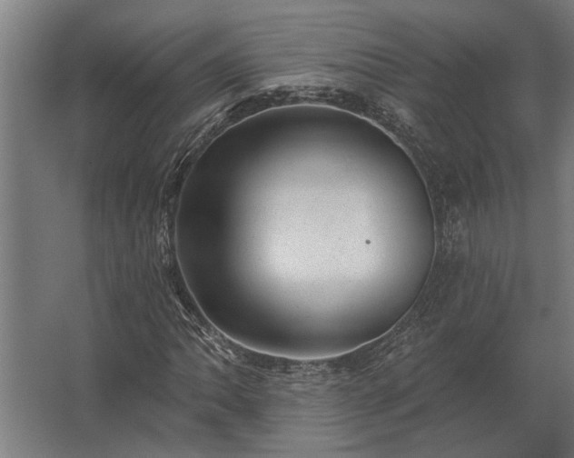 X0000062791062200512290217