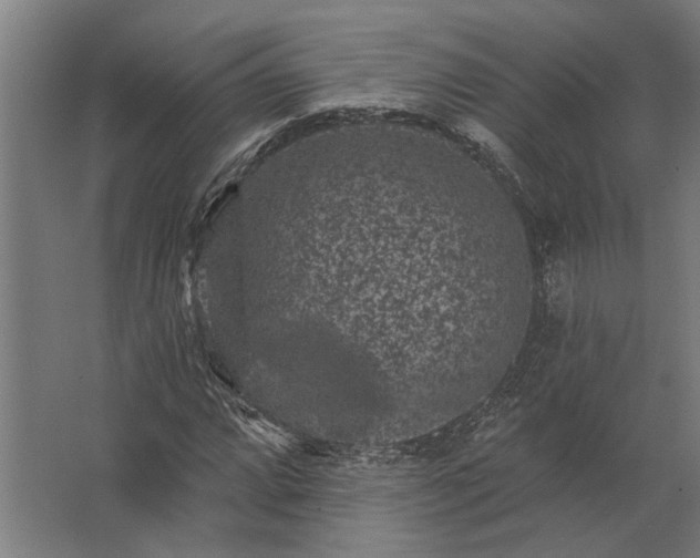 X0000062791064200512290217