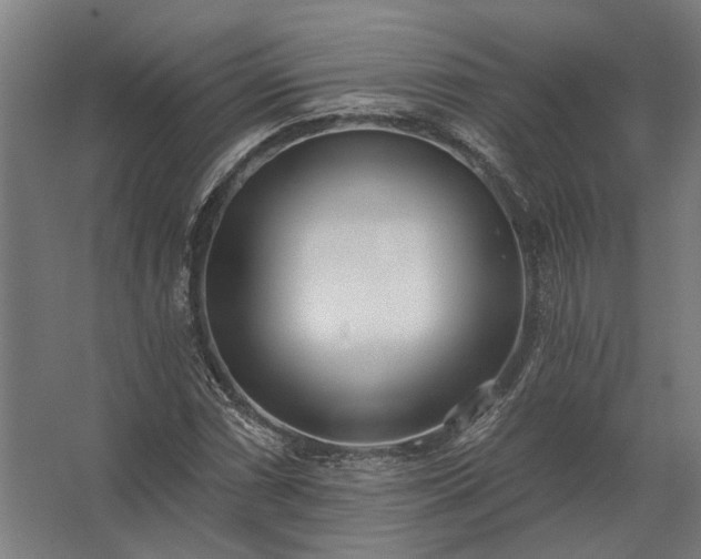 X0000062791066200512290217