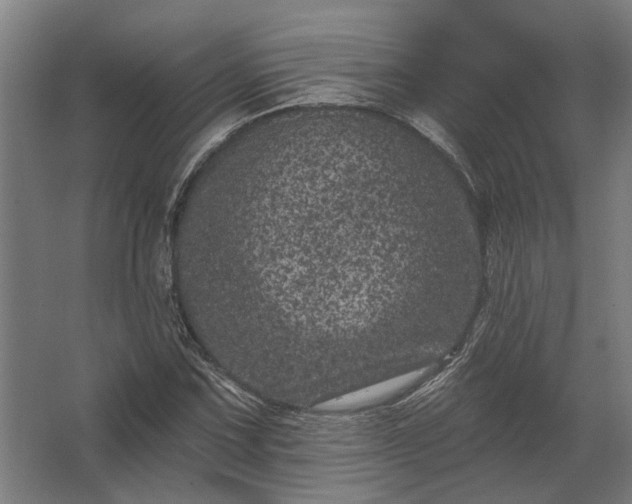 X0000062791067200512290217