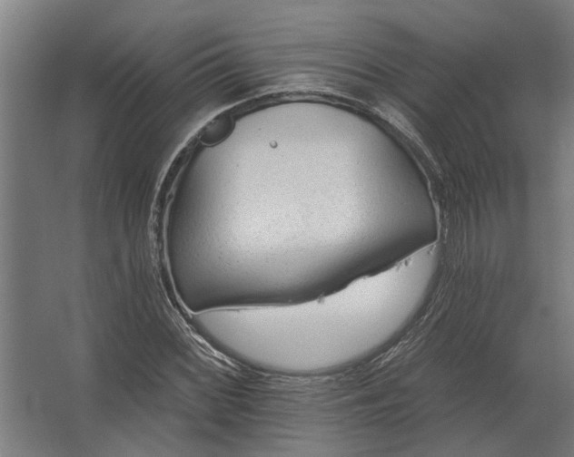 X0000062791068200512290217