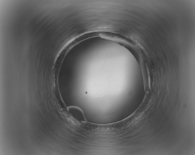 X0000062791069200512290217