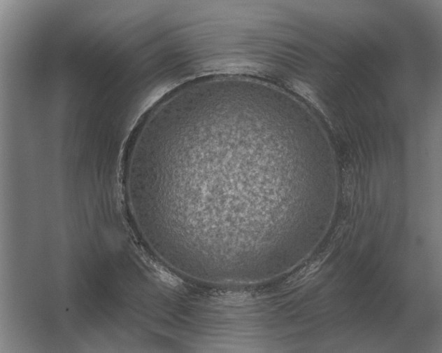 X0000062791071200512290216